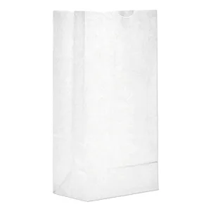 #5 White Paper Bag - 5 Pound - (500 - 10,000 Count)