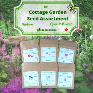 6x Cottage Garden Seed Assortment