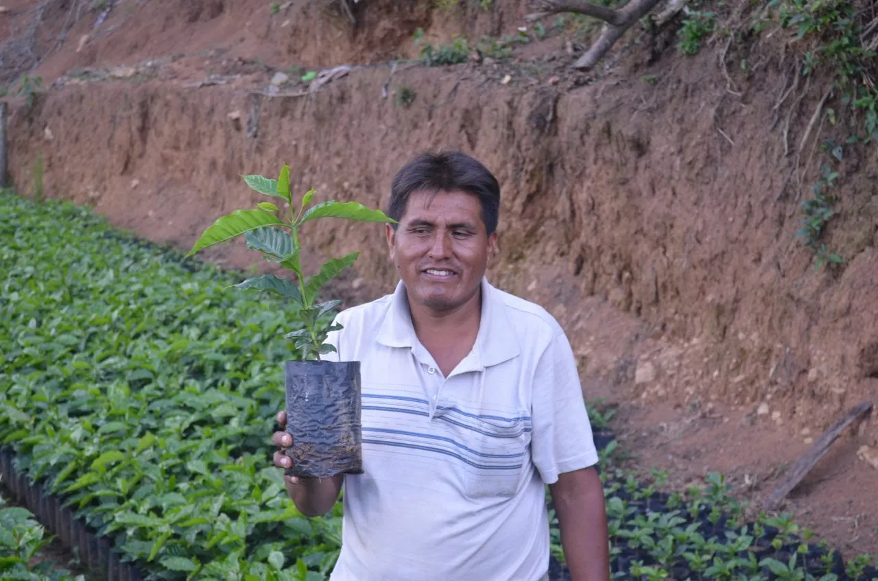 Bolivia Microlot: Celso Mayta (Café Golondrina) Available at Continental (NJ) and Salisbury, MA