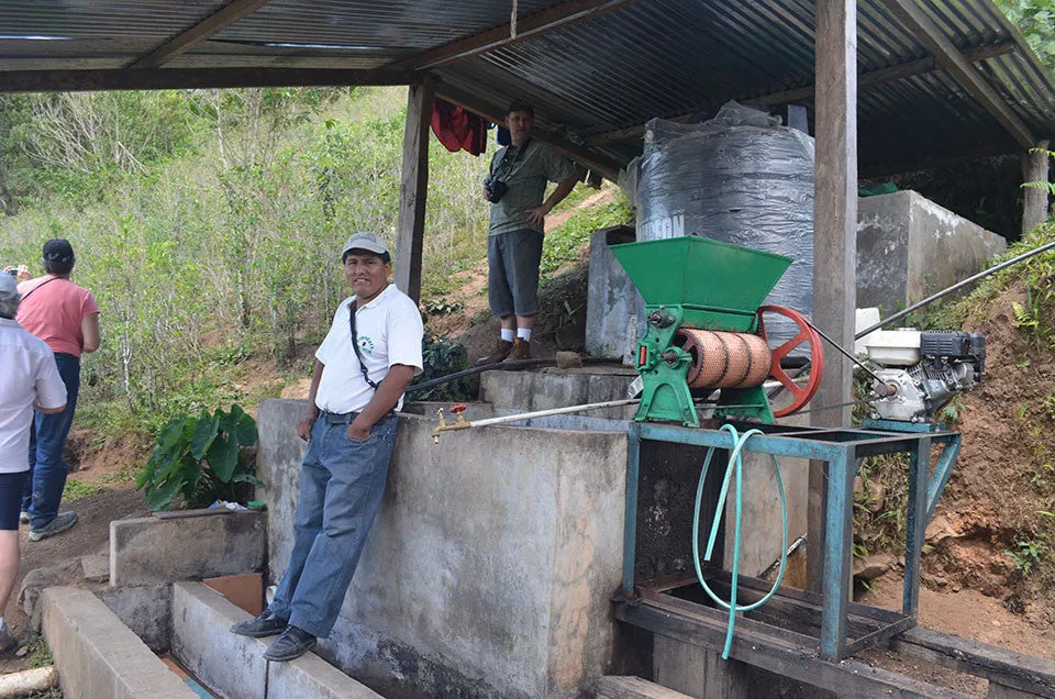 Bolivia Microlot: Celso Mayta (Café Golondrina) Available at Continental (NJ) and Salisbury, MA