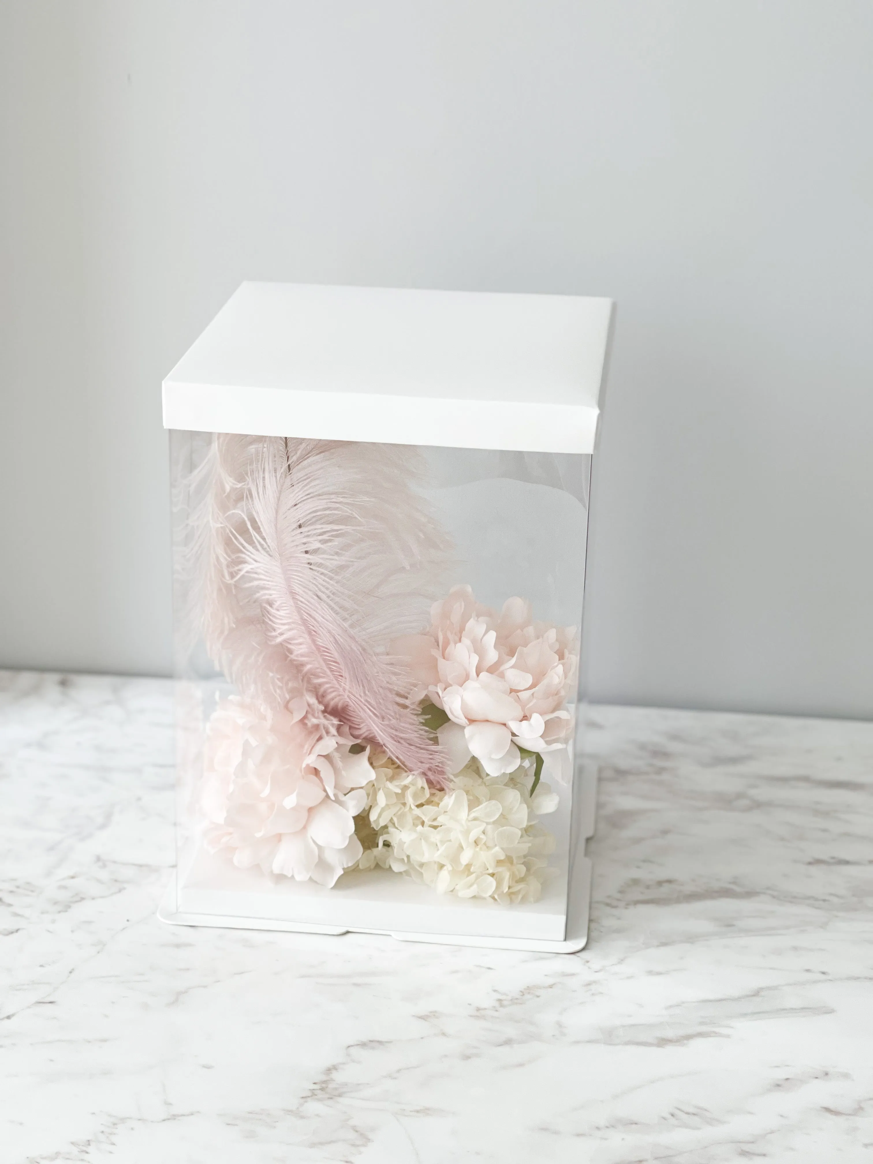 Clear display Box with White Base And Lid In variety size( 5 Sets/order)