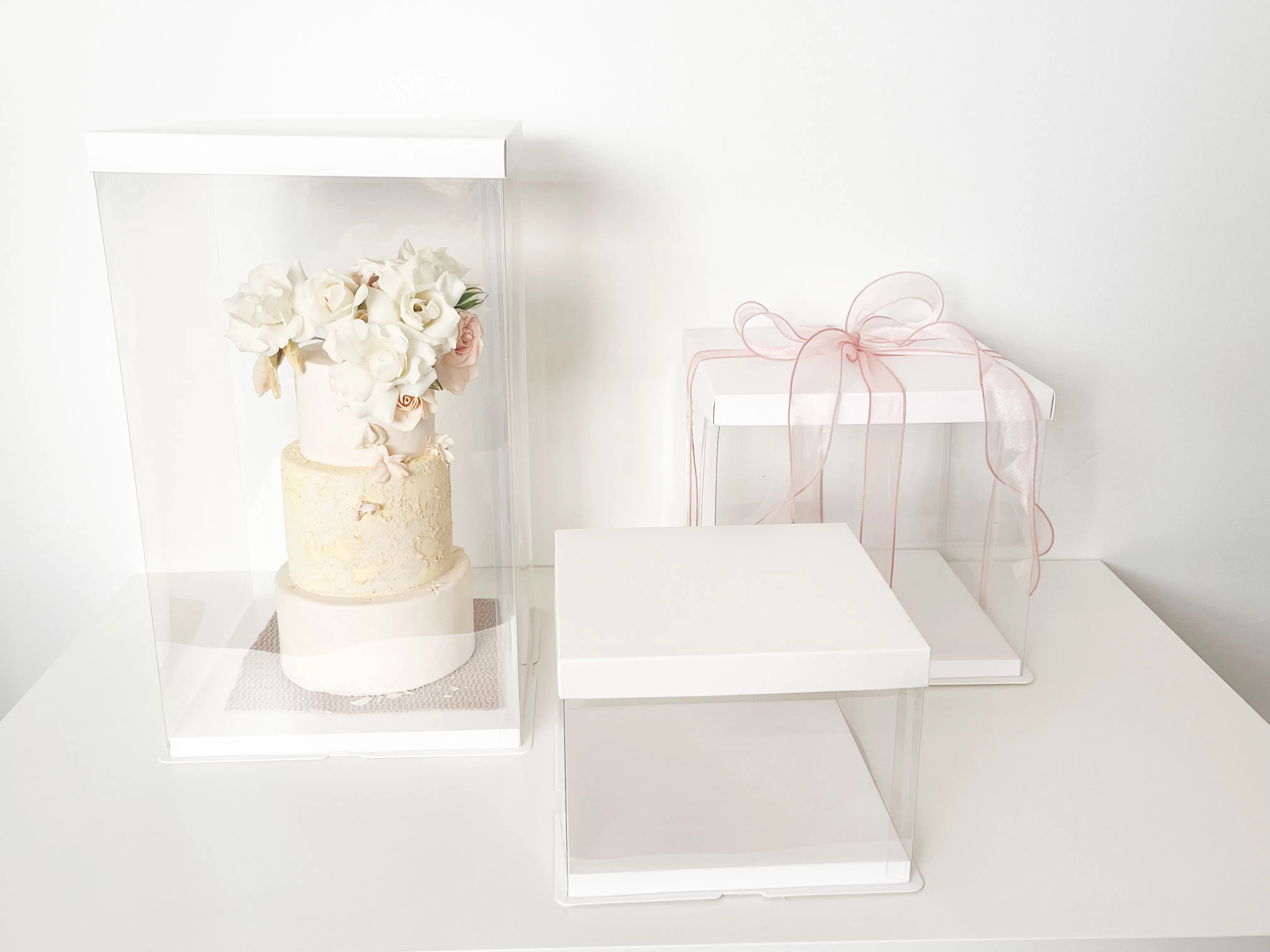Clear display Box with White Base And Lid In variety size( 5 Sets/order)
