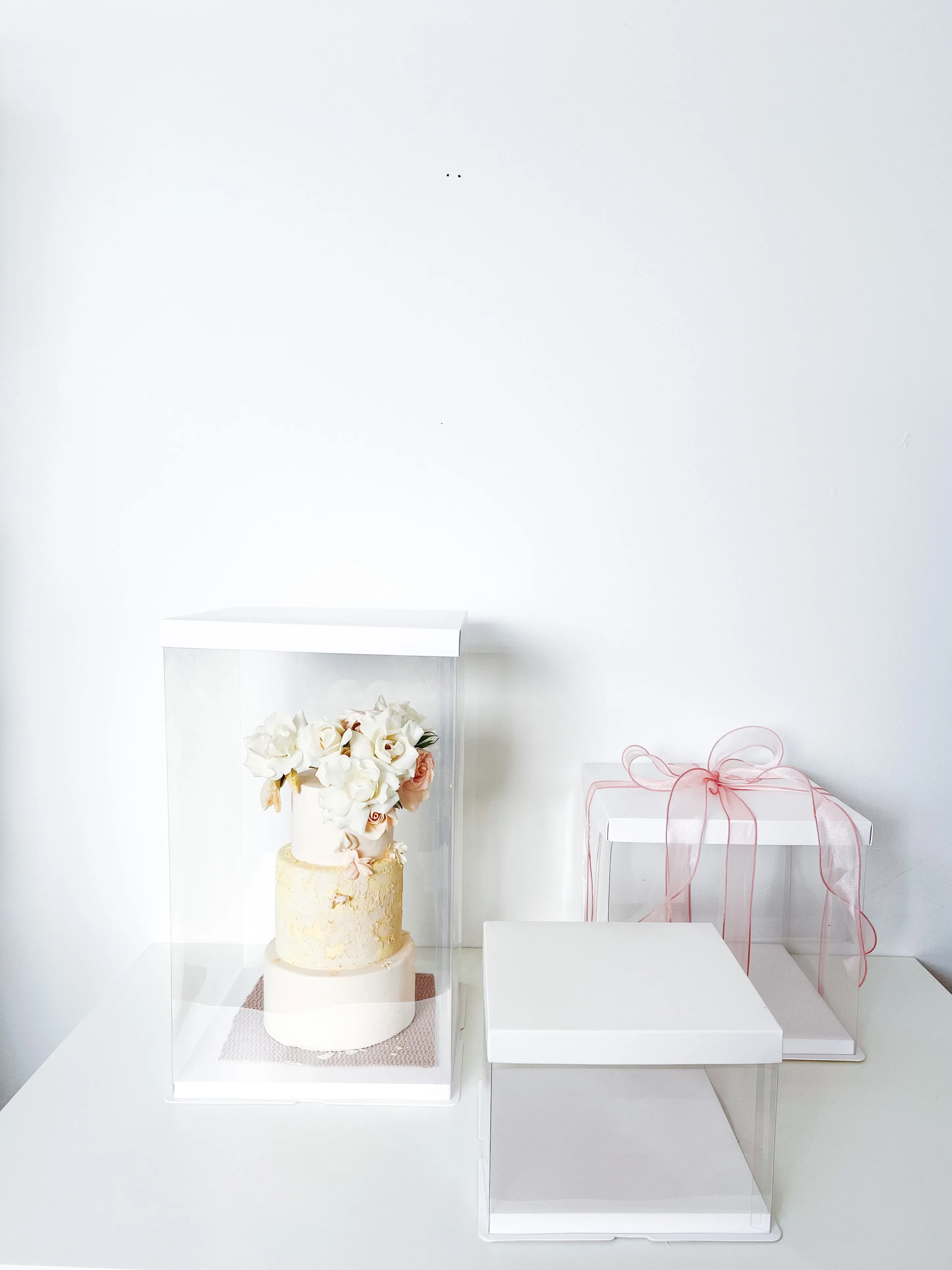 Clear display Box with White Base And Lid In variety size( 5 Sets/order)