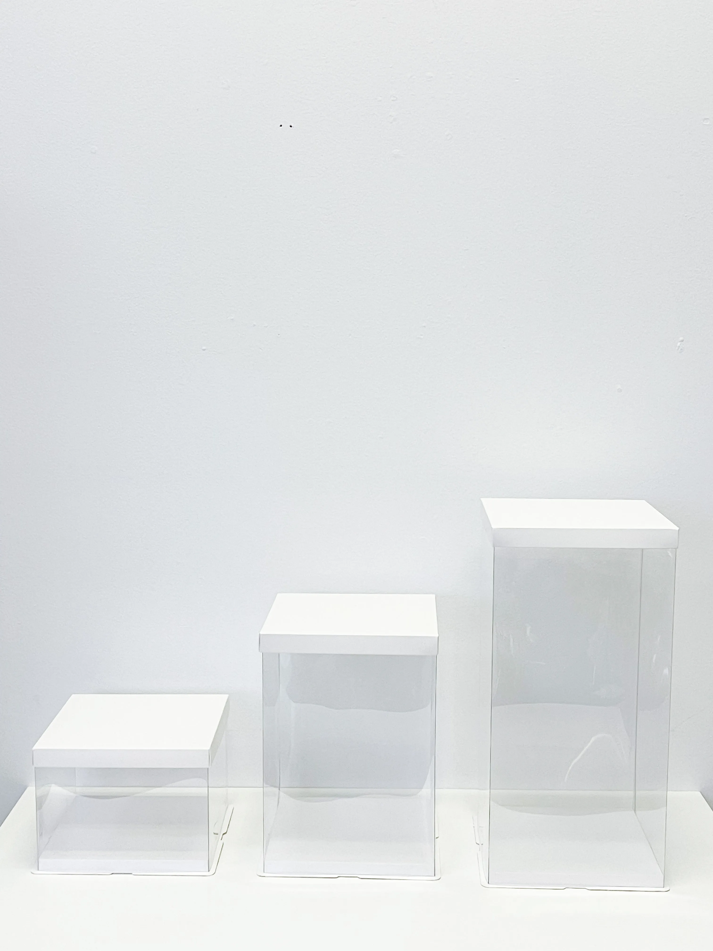 Clear display Box with White Base And Lid In variety size( 5 Sets/order)