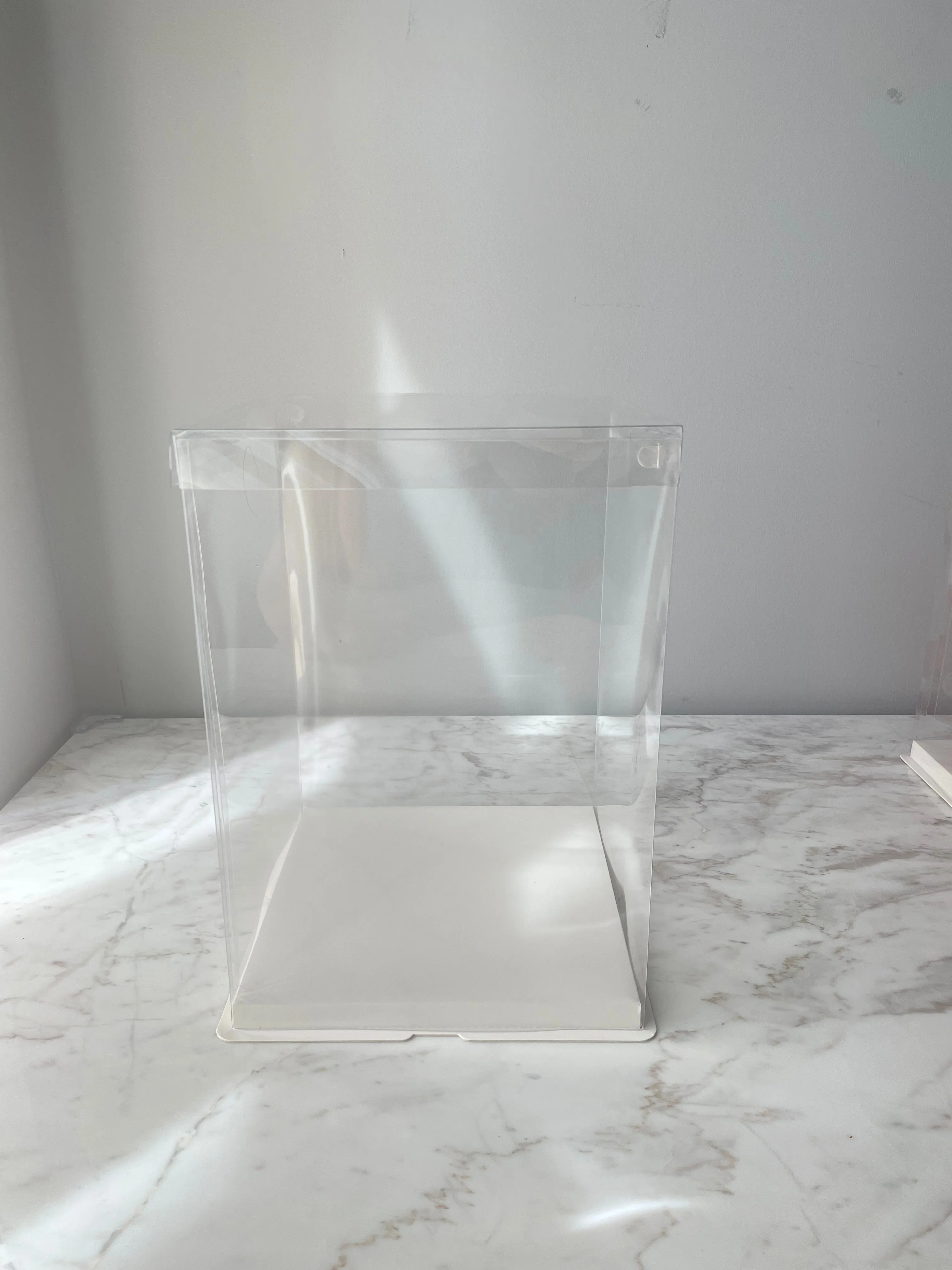 Display Box with Clear Lid and White Base In variety size