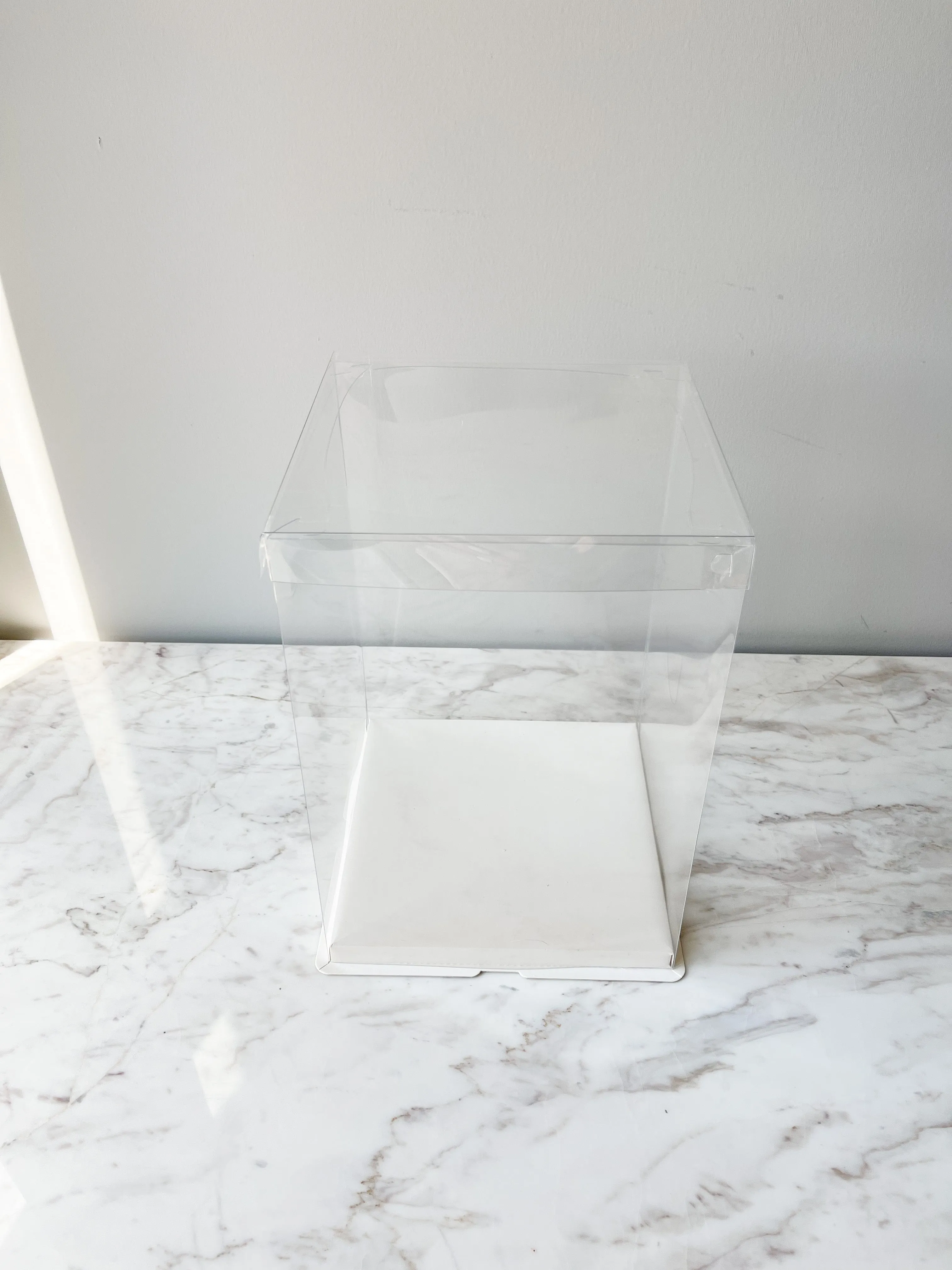 Display Box with Clear Lid and White Base In variety size