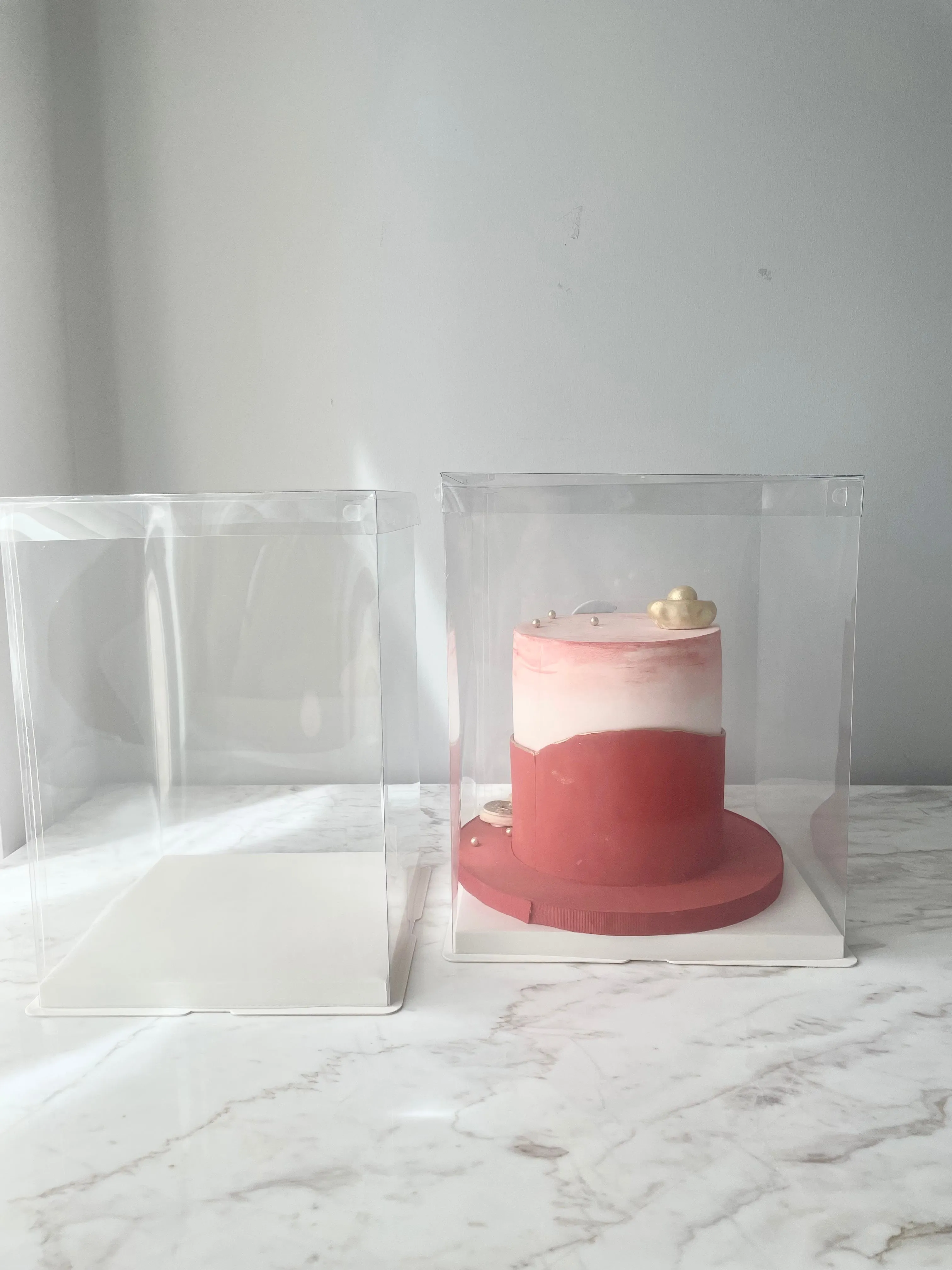 Display Box with Clear Lid and White Base In variety size