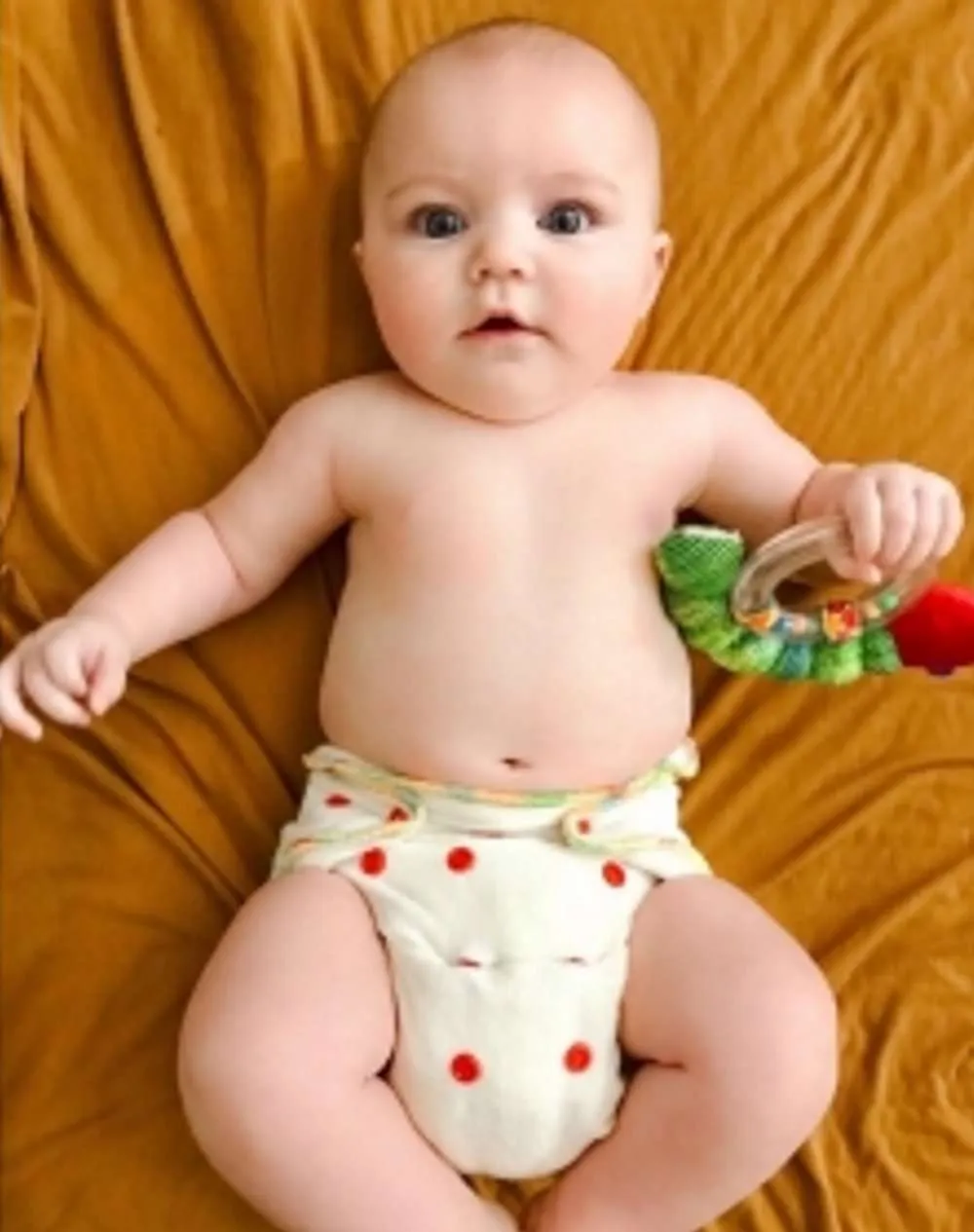 Fitted Cloth Diapers