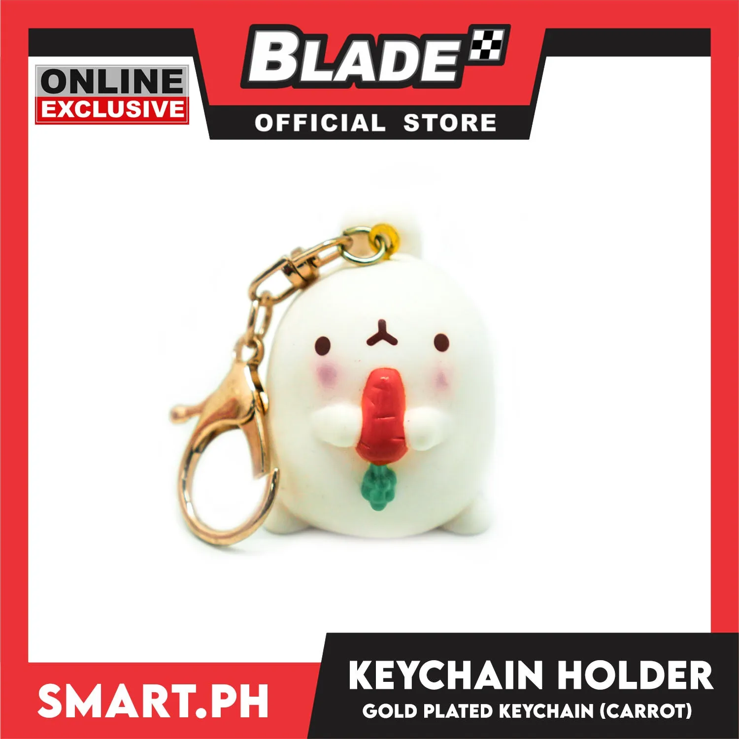Gifts Keychain Holder with Gold Plated Keychain Hook (Assorted Colors and Designs)