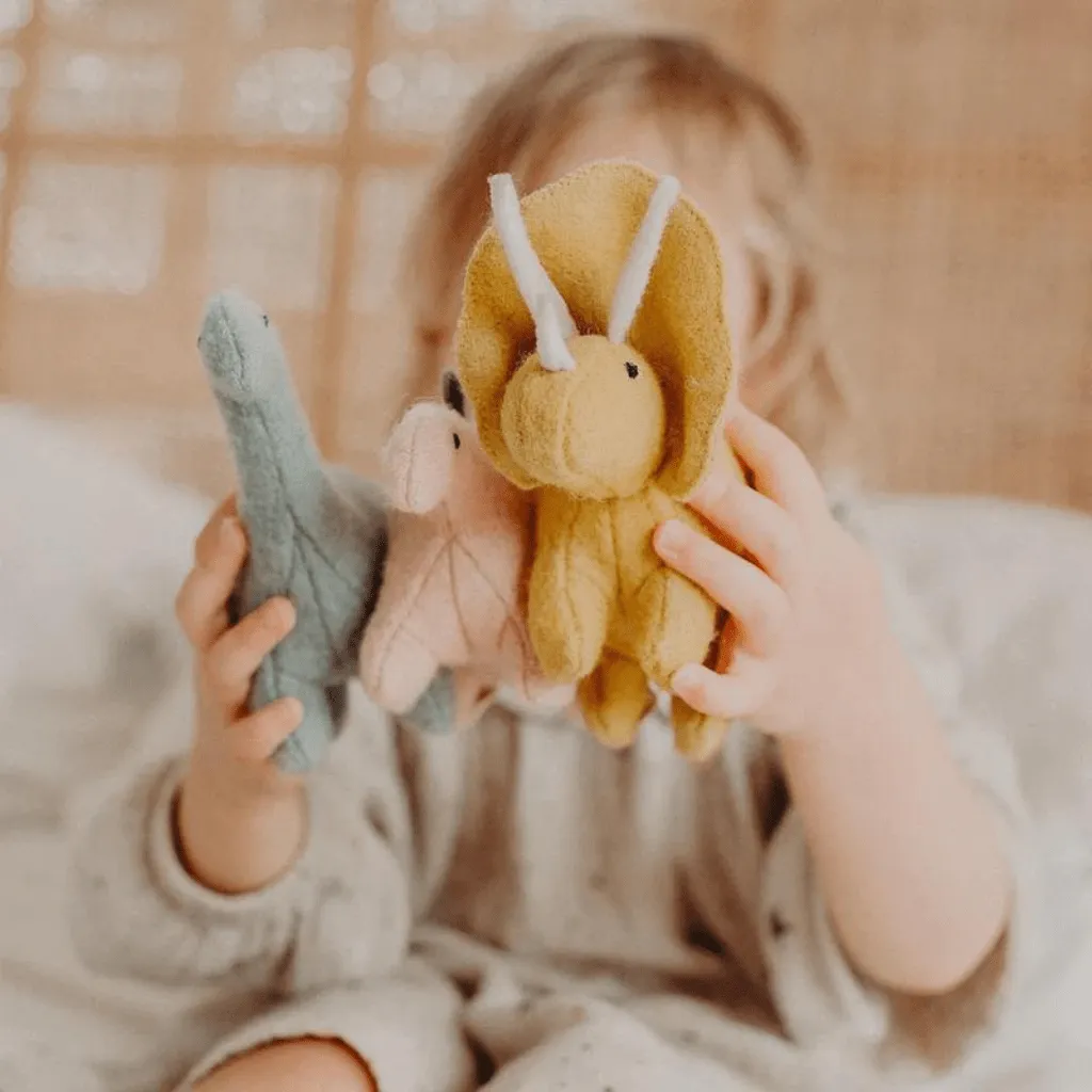 Holdie folk set | Dinosaurs