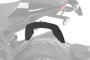 Honda CB 650R Luggage - C-Bow Carrier