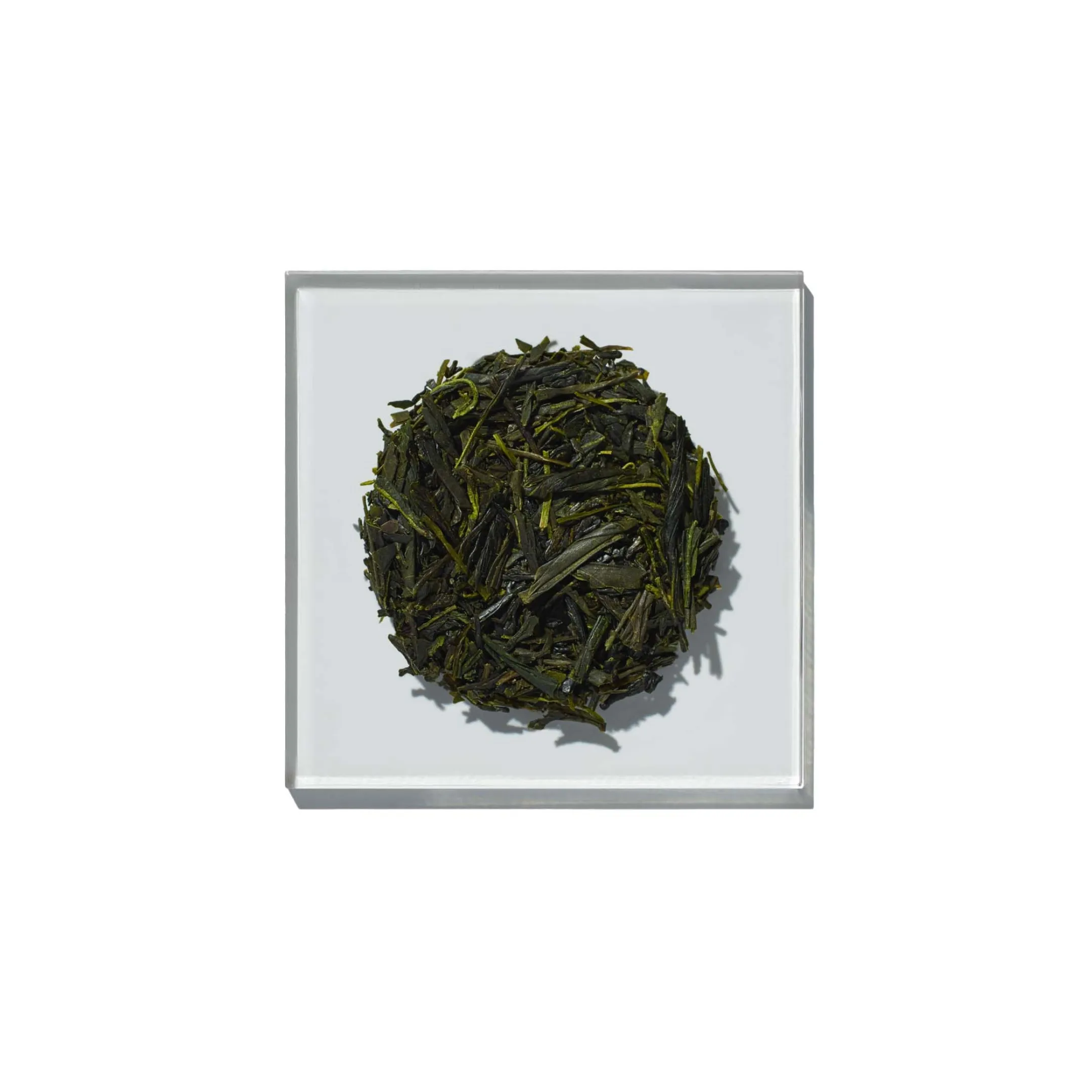 INGREDIENTS Sencha Green Tea