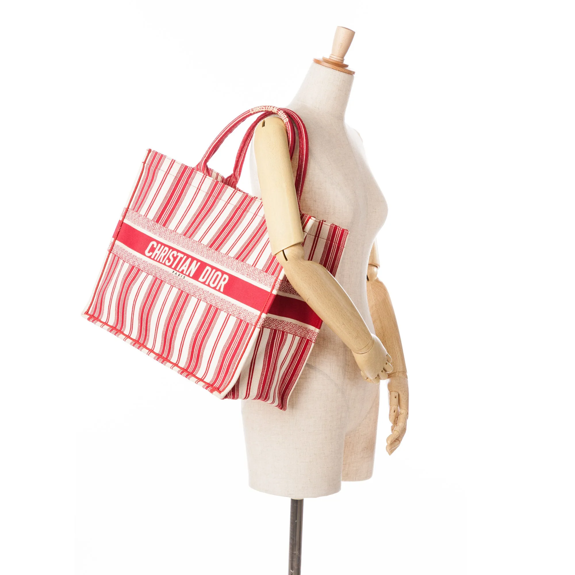 Large Striped Book Tote