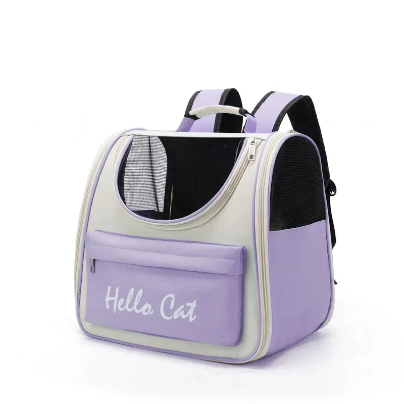 Portable Transparent Backpack