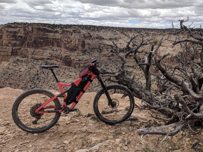 Revelate Designs Full Suspension Frame Bag