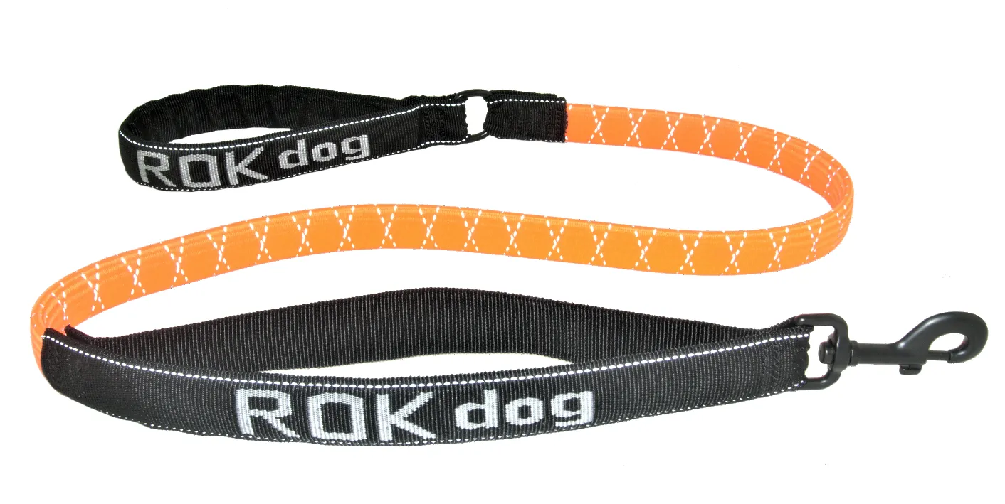 Rok 54" Stretch Dog Leash, Large