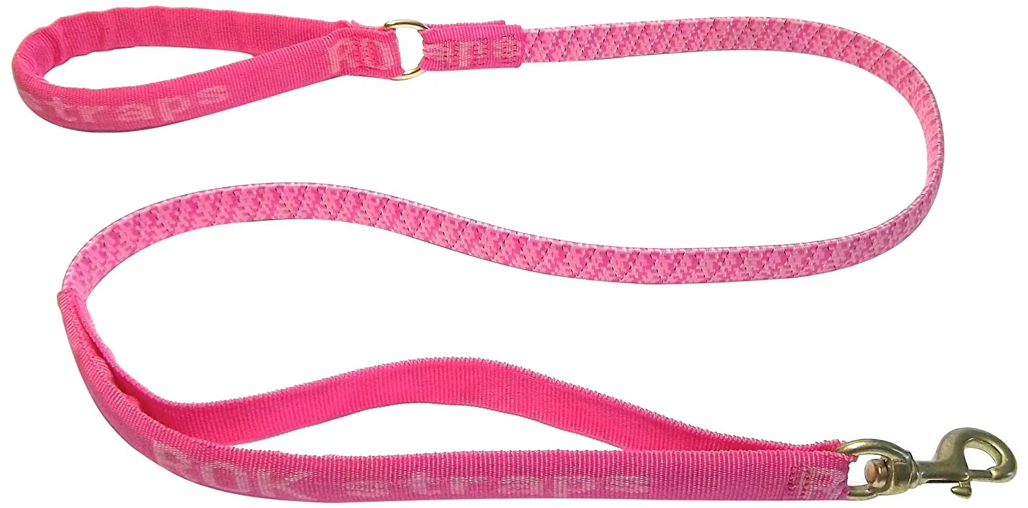 Rok 54" Stretch Dog Leash, Large