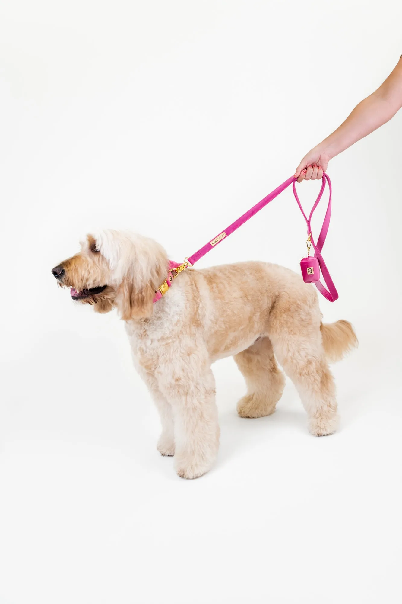 Rose Velvet - Dog Poop Bag Holder