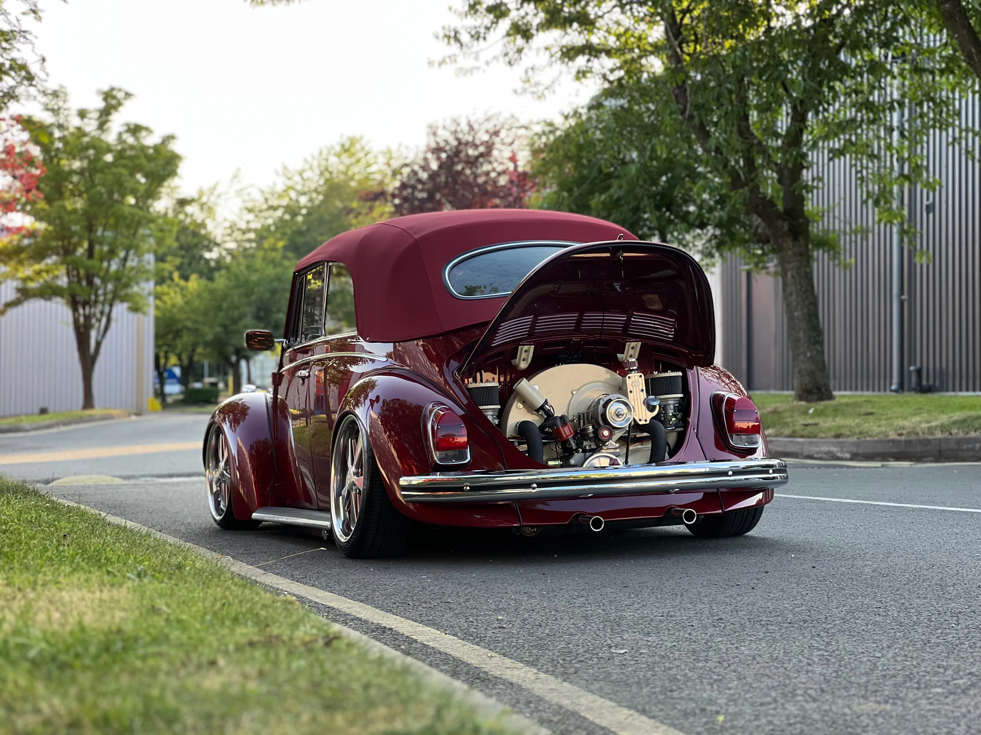 T1 Beetle/Ghia Premium IRS Rear Air Ride System - Bolt on