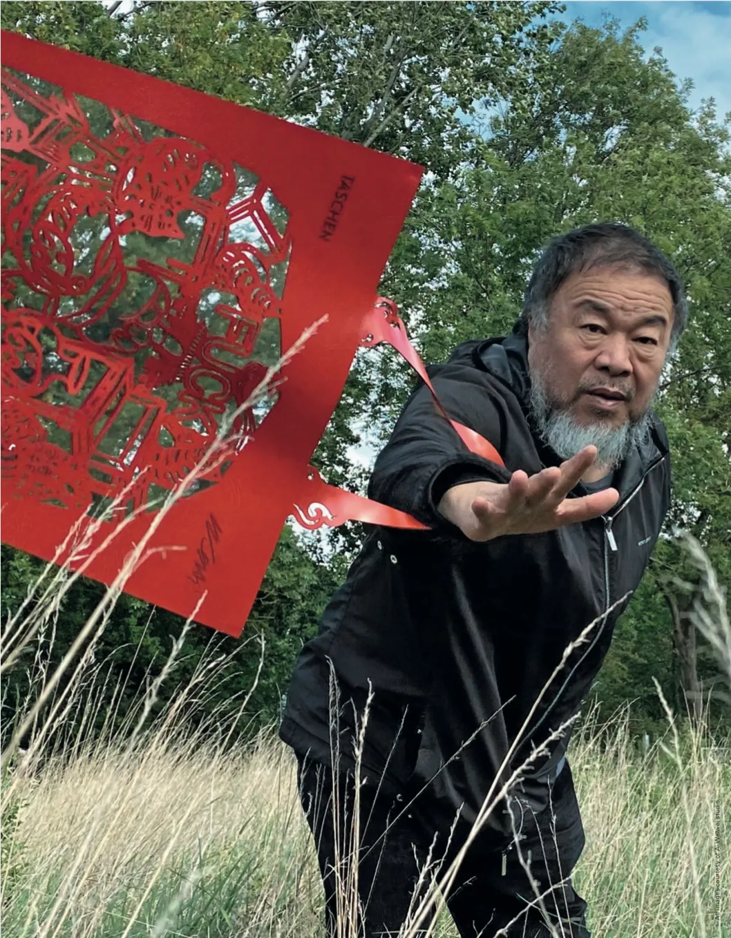 The China Bag (Zodiac) by Ai Weiwei