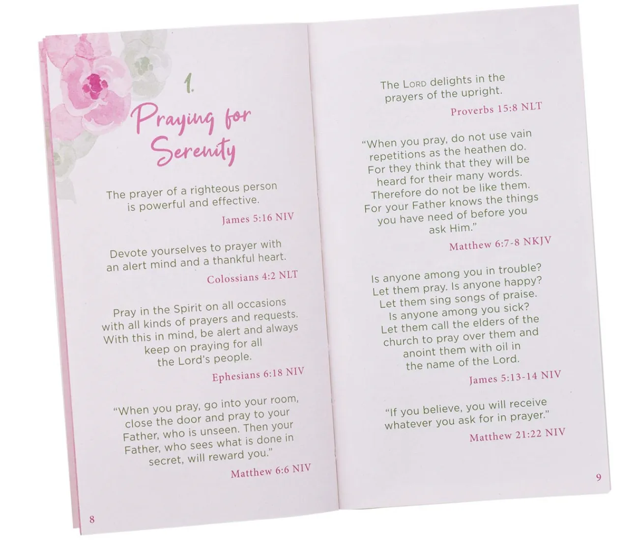The Serenity Prayer Promise Book