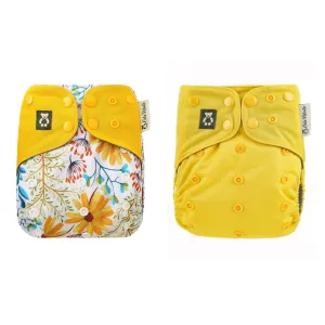 Wildflower Surprise / Mango Tango